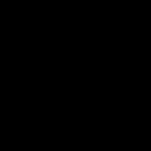 Meet your Posher, Joss